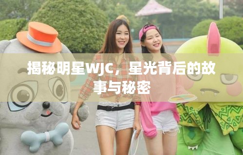 揭秘明星WJC，星光背后的故事与秘密