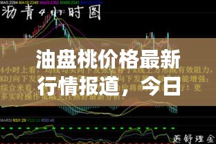 油盘桃价格最新行情报道，今日市场走势揭秘