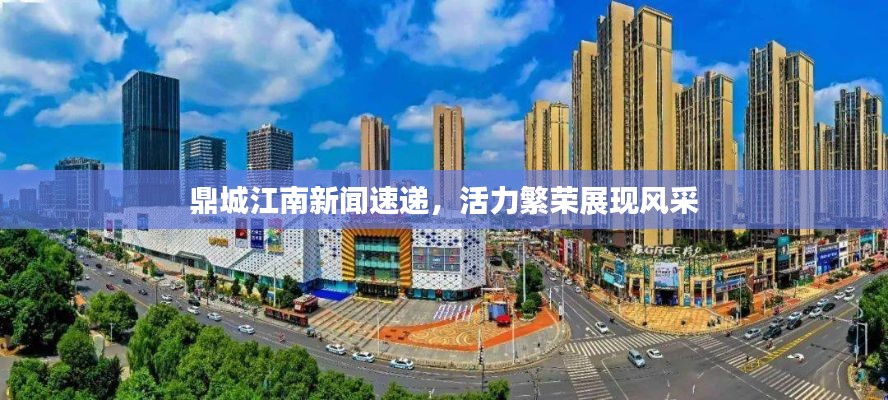 鼎城江南新闻速递，活力繁荣展现风采