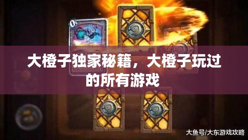 大橙子独家秘籍，大橙子玩过的所有游戏 