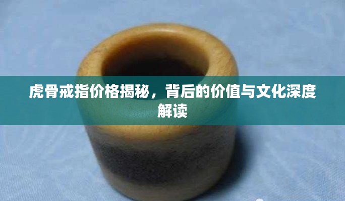 虎骨戒指价格揭秘，背后的价值与文化深度解读