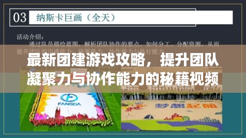 最新团建游戏攻略，提升团队凝聚力与协作能力的秘籍视频首发！