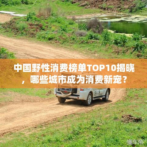 中国野性消费榜单TOP10揭晓，哪些城市成为消费新宠？