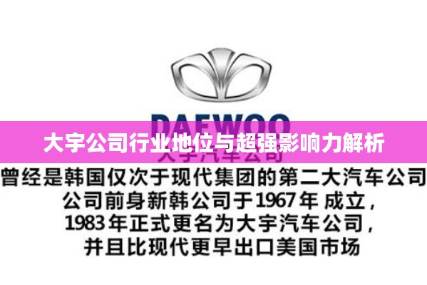 大宇公司行业地位与超强影响力解析