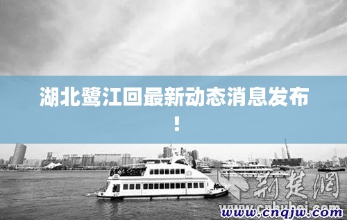 湖北鹭江回最新动态消息发布！