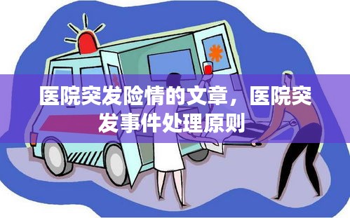 医院突发险情的文章，医院突发事件处理原则 