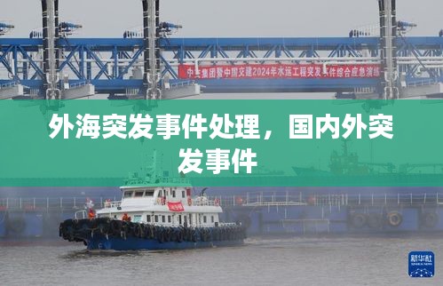 外海突发事件处理，国内外突发事件 