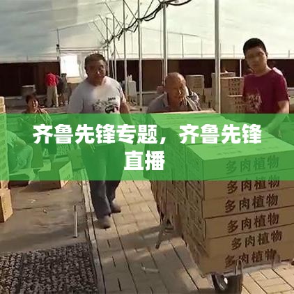 齐鲁先锋专题，齐鲁先锋直播 