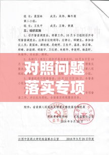 对照问题落实专项整改，对照检查落实整改 