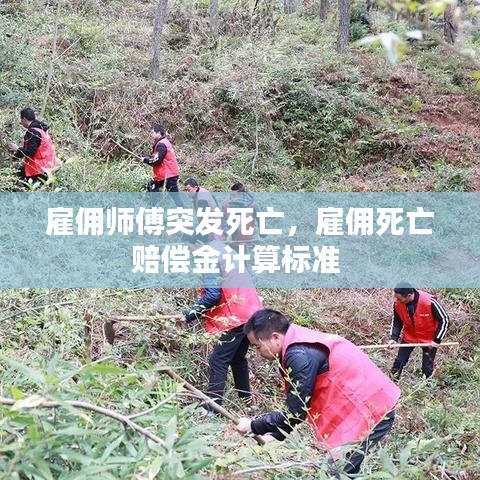 雇佣师傅突发死亡，雇佣死亡赔偿金计算标准 