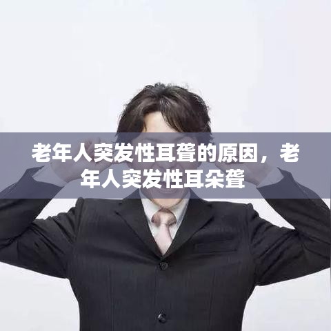 金石为开 第2页