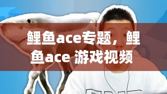 鲤鱼ace专题，鲤鱼ace 游戏视频 