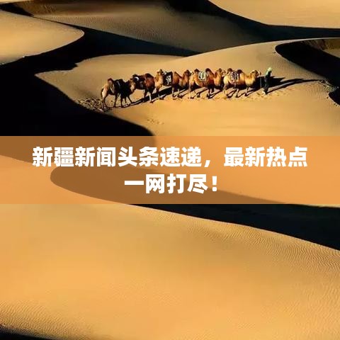 新疆新闻头条速递，最新热点一网打尽！