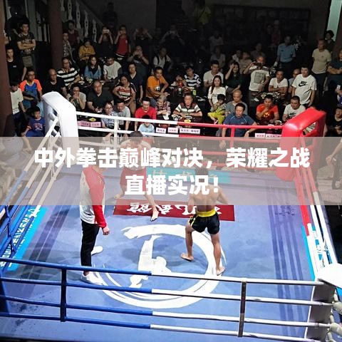 中外拳击巅峰对决，荣耀之战直播实况！