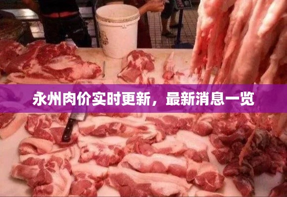 永州肉价实时更新，最新消息一览
