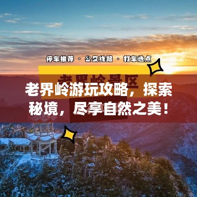 老界岭游玩攻略，探索秘境，尽享自然之美！