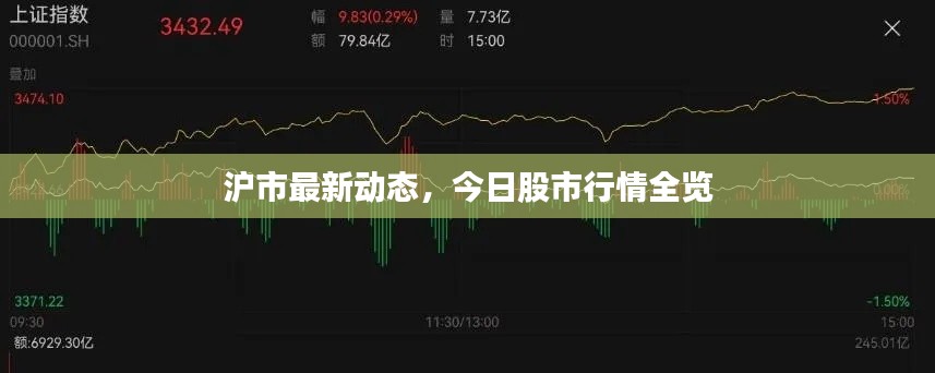 沪市最新动态，今日股市行情全览