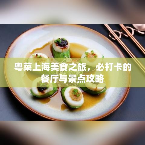 粤菜上海美食之旅，必打卡的餐厅与景点攻略