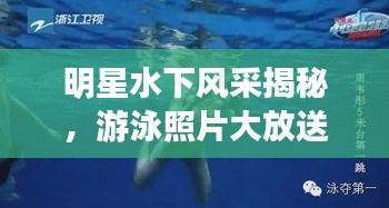 明星水下风采揭秘，游泳照片大放送