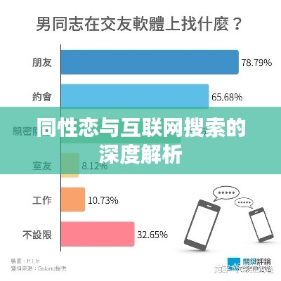 同性恋与互联网搜索的深度解析