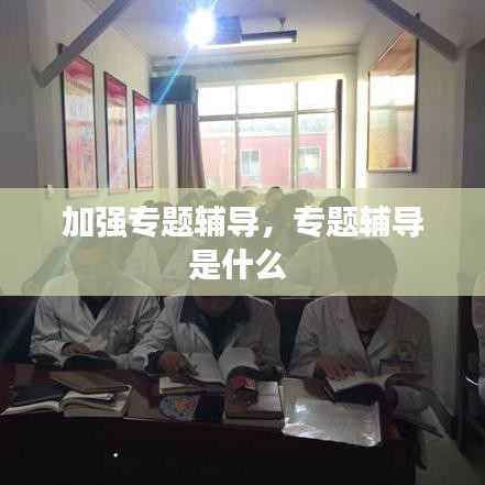 加强专题辅导，专题辅导是什么 