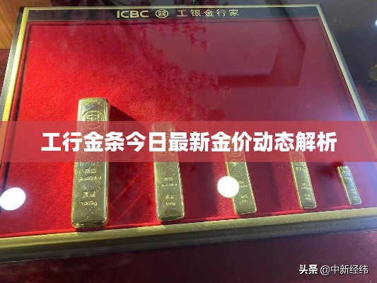 工行金条今日最新金价动态解析