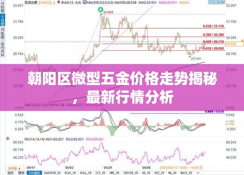 朝阳区微型五金价格走势揭秘，最新行情分析