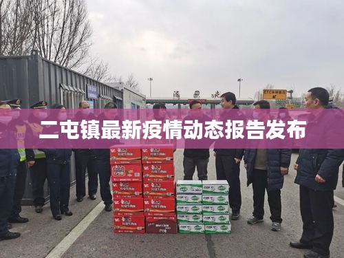 二屯镇最新疫情动态报告发布