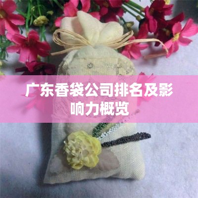 广东香袋公司排名及影响力概览
