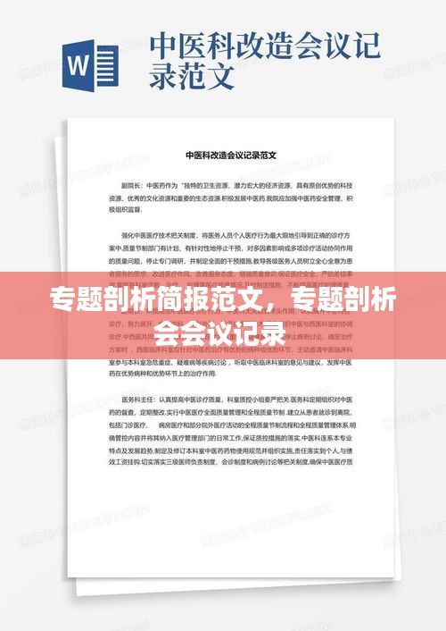 专题剖析简报范文，专题剖析会会议记录 