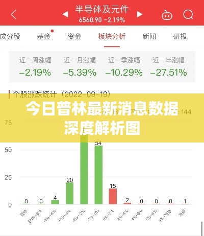今日普林最新消息数据深度解析图