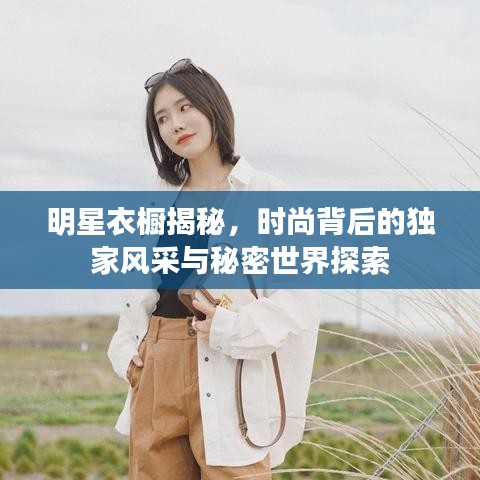 明星衣橱揭秘，时尚背后的独家风采与秘密世界探索