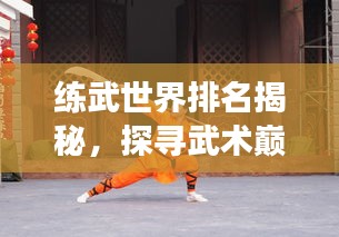 练武世界排名揭秘，探寻武术巅峰之旅