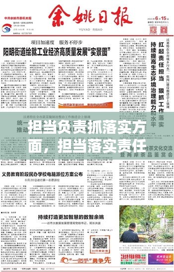担当负责抓落实方面，担当落实责任 