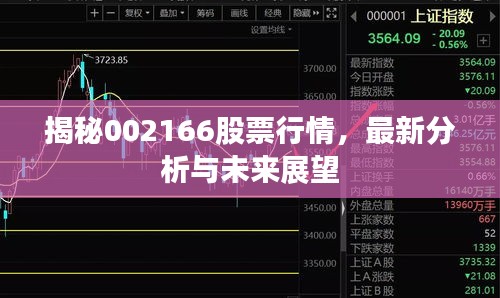 揭秘002166股票行情，最新分析与未来展望