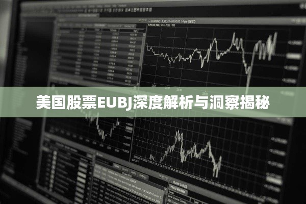 美国股票EUBJ深度解析与洞察揭秘