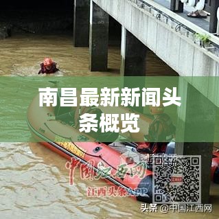 南昌最新新闻头条概览