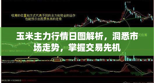 玉米主力行情日图解析，洞悉市场走势，掌握交易先机