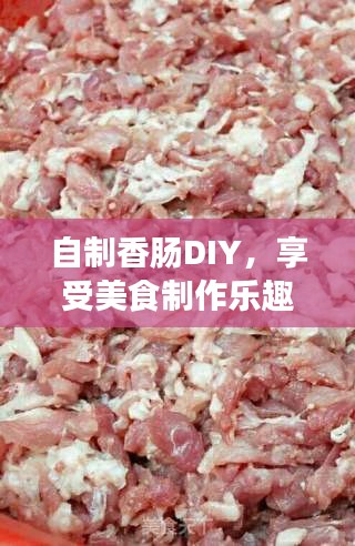 自制香肠DIY，享受美食制作乐趣，百度搜罗食谱任你挑选！