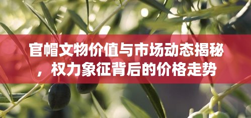 官帽文物价值与市场动态揭秘，权力象征背后的价格走势