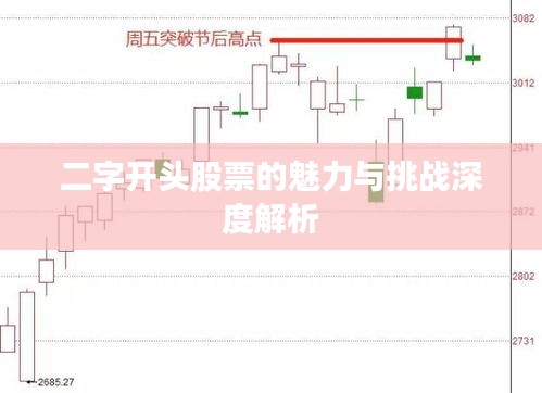 二字开头股票的魅力与挑战深度解析