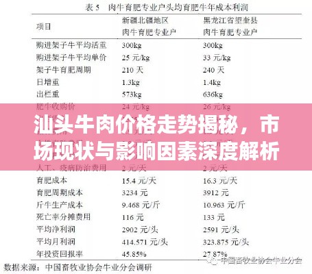 汕头牛肉价格走势揭秘，市场现状与影响因素深度解析