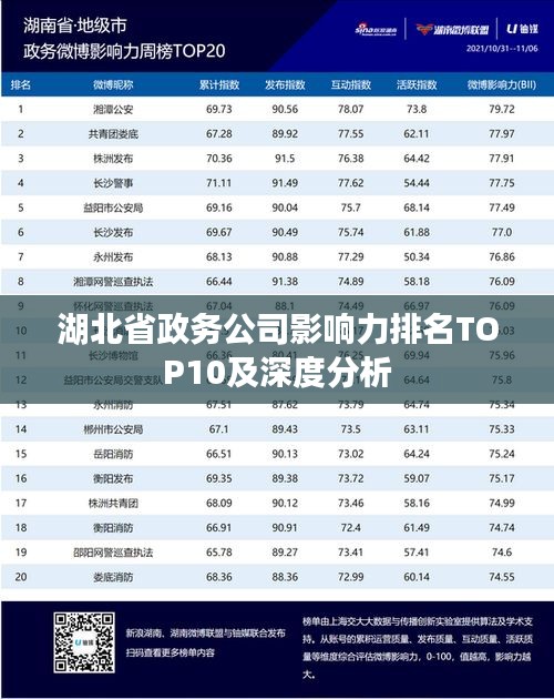 湖北省政务公司影响力排名TOP10及深度分析