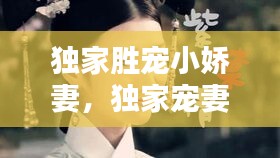 独家胜宠小娇妻，独家宠妻小说 
