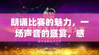 朗诵比赛的魅力，一场声音的盛宴，感受语言的韵律之美