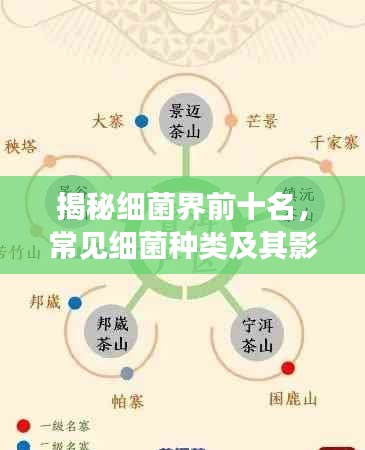 揭秘细菌界前十名，常见细菌种类及其影响概览