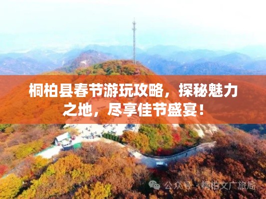 桐柏县春节游玩攻略，探秘魅力之地，尽享佳节盛宴！
