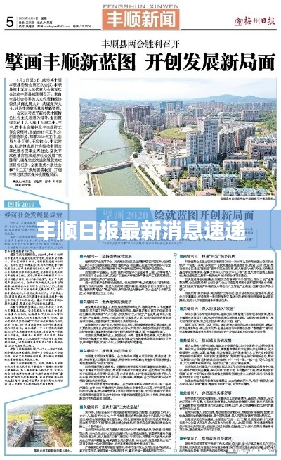 丰顺日报最新消息速递