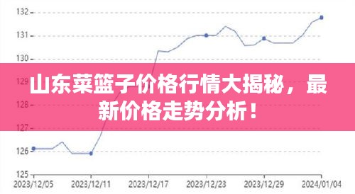 山东菜篮子价格行情大揭秘，最新价格走势分析！