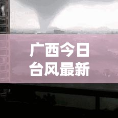 广西今日台风最新消息，实时更新，风雨影响一览无余！